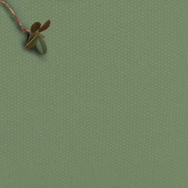 Amara New Sage - Green fabric for curtains, blinds and upholstery
