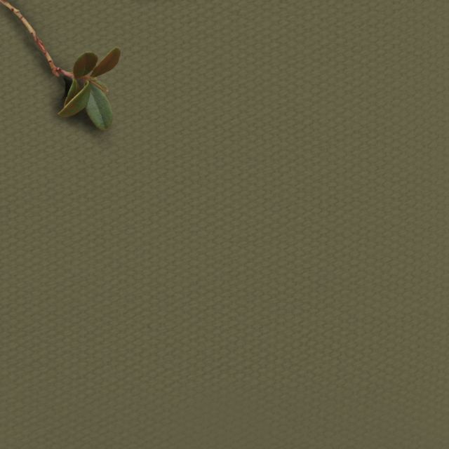 Amara Khaki Green - 100% Cotton fabric for Curtains, Blinds and Upholstery 