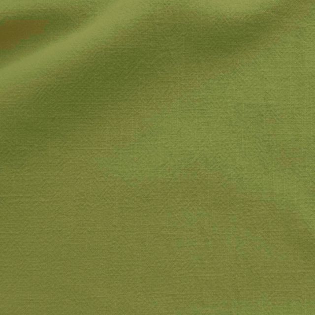 Perla Sap Green - Linen Cotton union fabric for curtains
