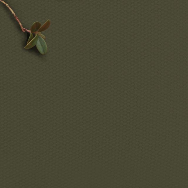Amara Pine Green - 100% Cotton fabric for curtains, blinds and upholstery